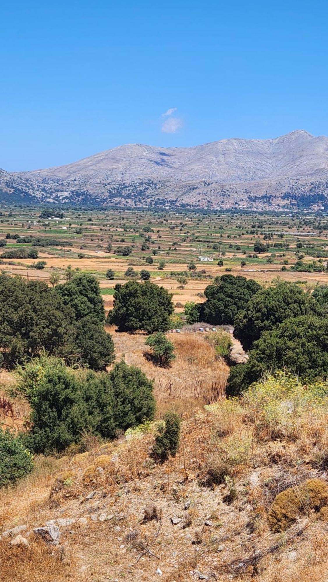 Отель Dionysus Lasithi Plateau Magoulas Экстерьер фото